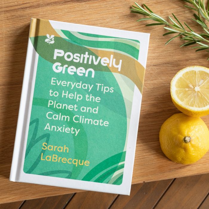 Positively Green: Everyday Tips to Help the Planet and Calm Climate Anxiety