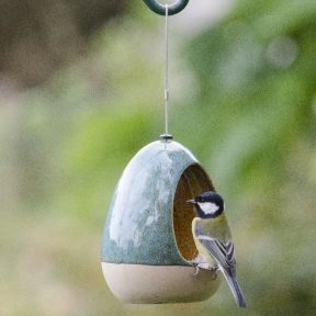 Bird water dish best sale