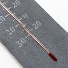 Slate Garden Thermometer