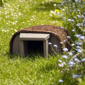 Timeless Range Hedgehog House