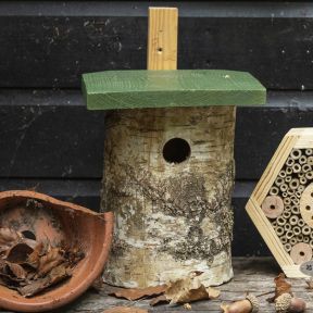 National Trust Birch Log Nest Box