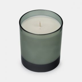 National Trust Boxed Candle Blue Spruce and Frosted Pine