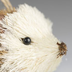 Bristle Hedgehog Hanging Decoration