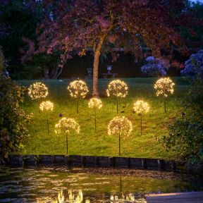 Solar Dandelion Outdoor Light