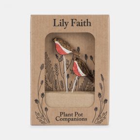 Lily Faith, Robin Plant Pot Companions