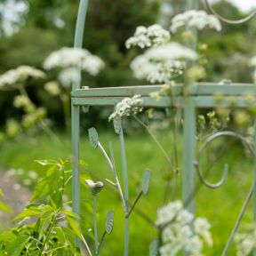 Woodland Arch, Green