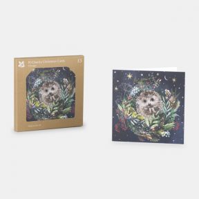 National Trust Hedgehog Christmas Cards, Box of 10