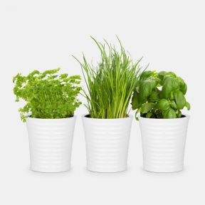 Windowsill Ceramic Herb Pots Trio