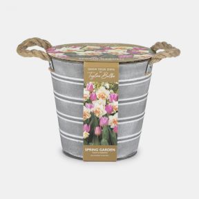 Outdoor Bucket Planter, Narcissi and Tulip