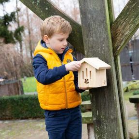 National Trust Build Your Own Jinto Butterfly House Kit