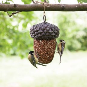 Hanging Acorn Bird Feeder 