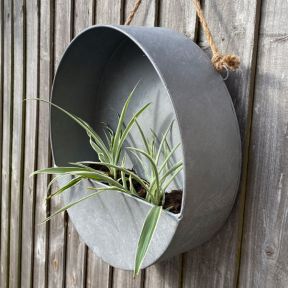 Round Wall Planter, Medium