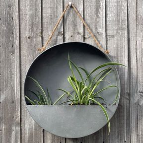 Round Wall Planter, Medium