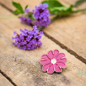 Small Wonder Gift Pack, Coastal Wildflowers