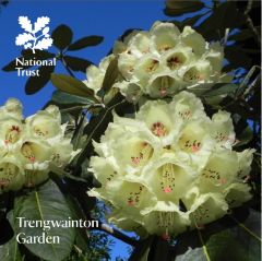 National Trust Trengwainton Garden Guidebook