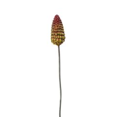 Plant Stake, Red Hot Poker