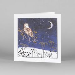 Moonlight Owl Christmas Cards, Pack of 10