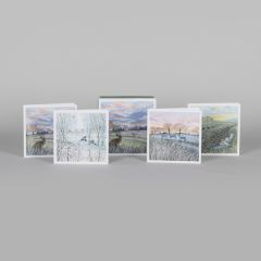 National Trust Lucy Grossmith Life in the Fields Notecards x20 