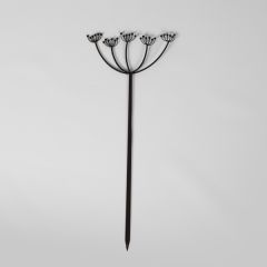 Plant Stake Cow Parsley