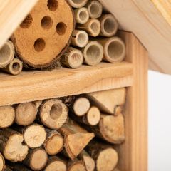 Foraged Insect House