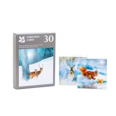 National Trust Value Pack Illustrated Christmas Cards, Box of 30
