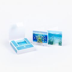 Coastal View Notecards by Claire Henley x20