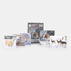 National Trust Photographic Christmas Cards Value Pack, Box of 30