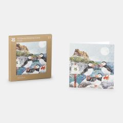 National Trust Lindisfarne Puffins Christmas Cards, Box of 10