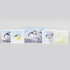 Watercolour Birds Notecards by Syman Kaye x20