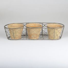 Three Aged Terracotta Pots in Wire Basket