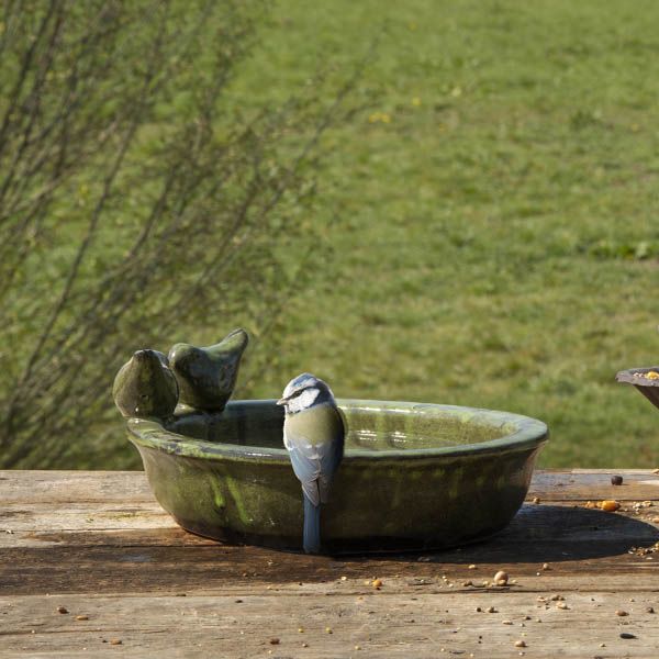 Green round bird bath placed outside on a wooden bench with a blue tit perched on the edge. The bird bath features two ceramic birds perched on the side of a bowl filled with water.