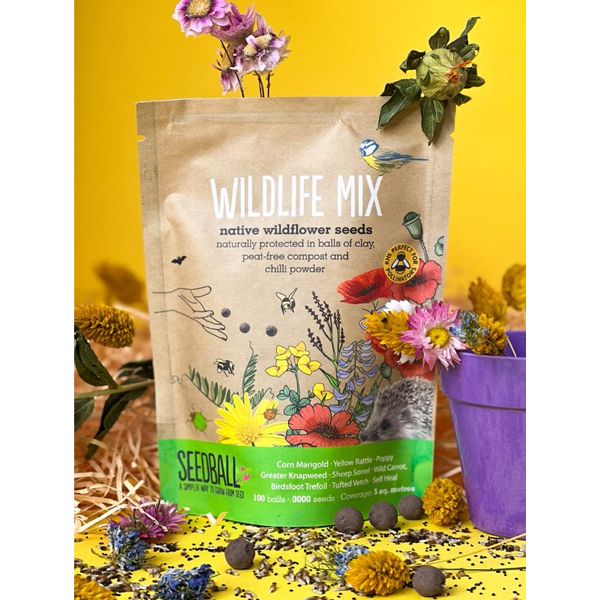 Seedball Wildlife Mix Grab Bag