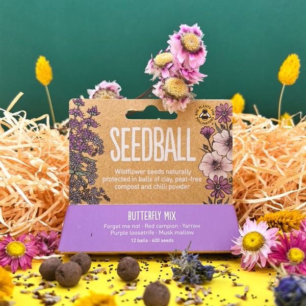 Seedball Butterfly Mix