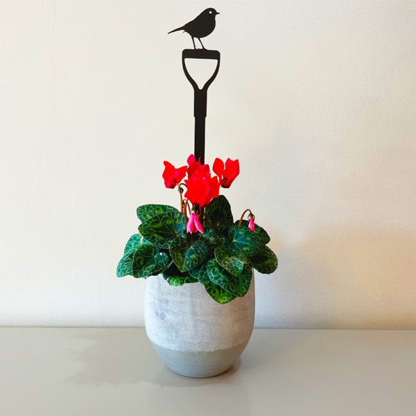 Pot Stem, Robin on a Fork