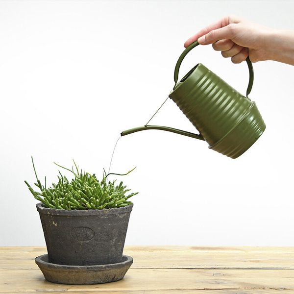 Metal Watering Can, Green