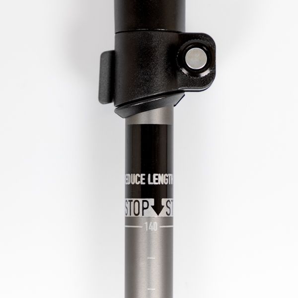 Wanderer Lock Walking Pole