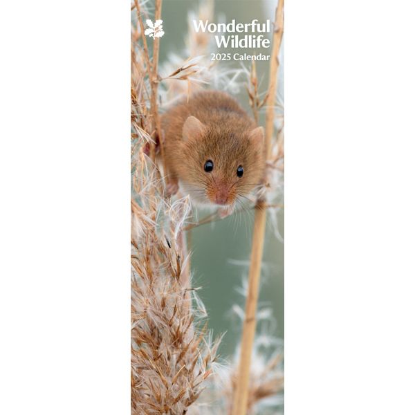 National Trust Wonderful Wildlife Photographic Slim Calendar 2025