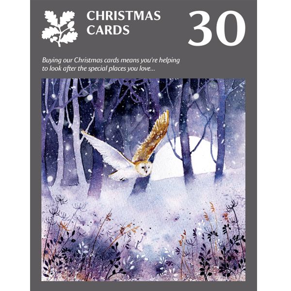 National Trust Illustrated Animals Christmas Cards Value Pack, Box of 30