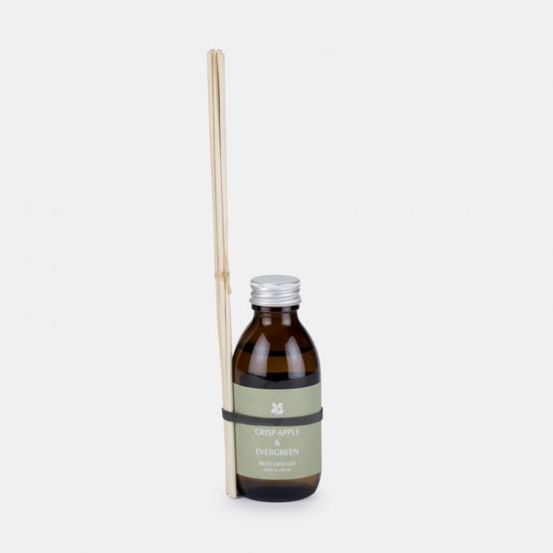 National Trust Reed Diffuser, Crisp Apple and Evergreen