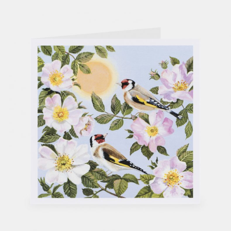 National Trust Beautiful Blossom Notecards Pack, x20