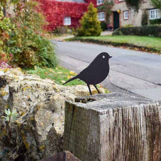 Fence Topper, Robin