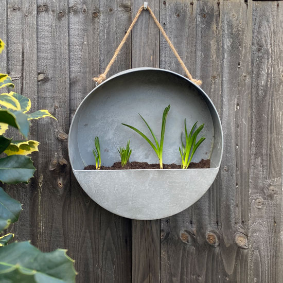 An image of Round Wall Planter, Large