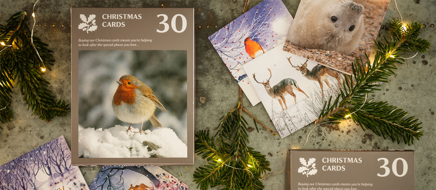 Spread the festive cheer - get ready to spread the festive cheer with charity Christmas cards from the National Trust. With exclusive nature-inspired designs and National Trust photography, browse the range and find just the right selection for sharing your seasonal wishes, whether its our much-loved Christmas card value pack or our smaller FSC, plastic free greeting cards sets.