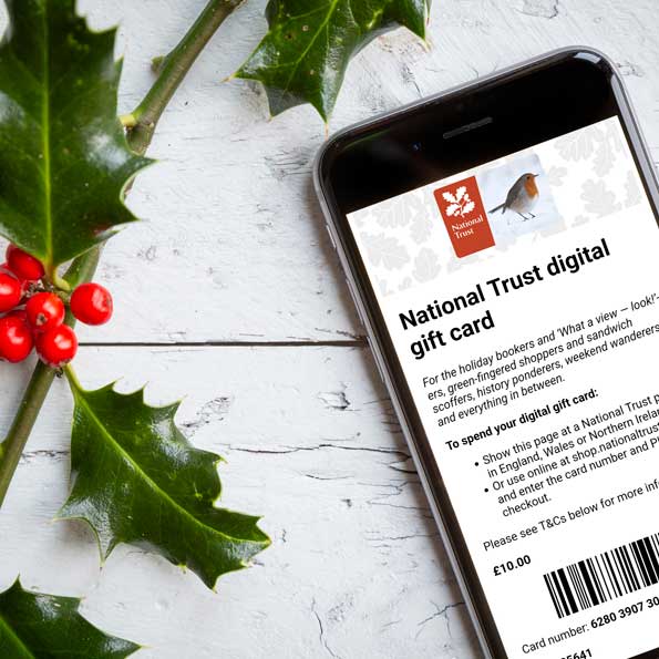 Unique Gifts & Unusual Presents Online National Trust Shop