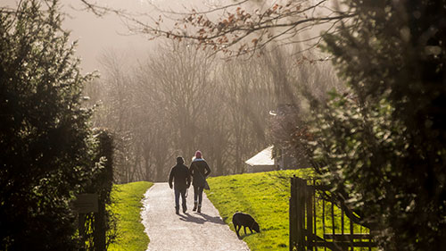 Give someone special the gift of National Trust membership - browse our membership types, from family to adult, young person and senior. Image shows group including adults and children walking through the parkland at Fountains Abbey during winter.