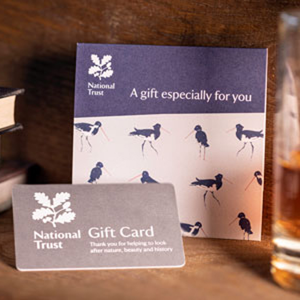 Unique Gifts & Unusual Presents Online National Trust Shop