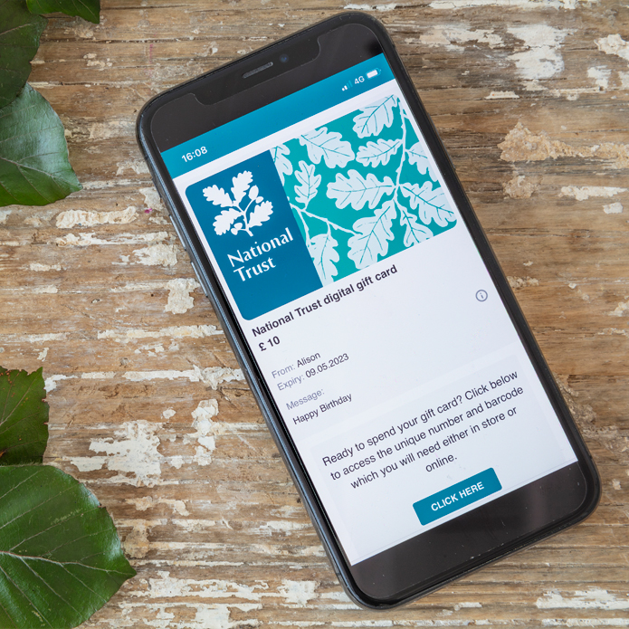 Unique Gifts & Unusual Presents Online National Trust Shop