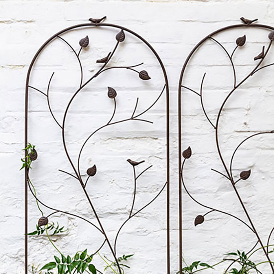 Woodland Plant Trellis (£64.00). Image shows set of two metal trellis against a white garden wall with clematis and foliage using the support to grow.