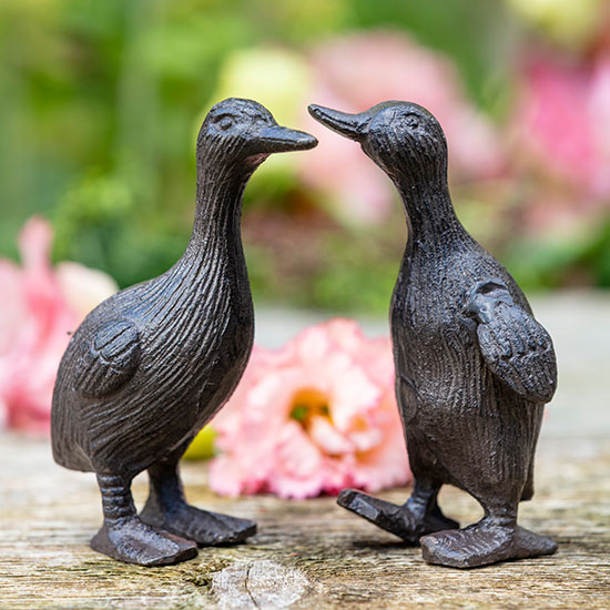 Cast Iron Duckling (£6). Image shows pair of ducklings on a garden work bench, with flowers and foliage in the background.