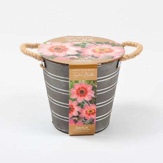 Bucket Planter (£14.00). Image shows round metal planter with jute handles on a plain grey background. Bucket features ridging and comes with instructions for using your dahlia planter.